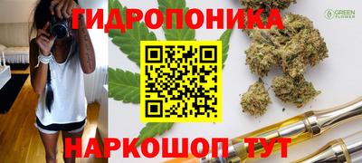 дмт Новодвинск