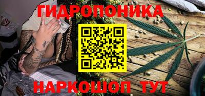 дмт Новодвинск