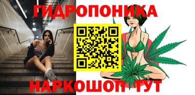 дмт Новодвинск