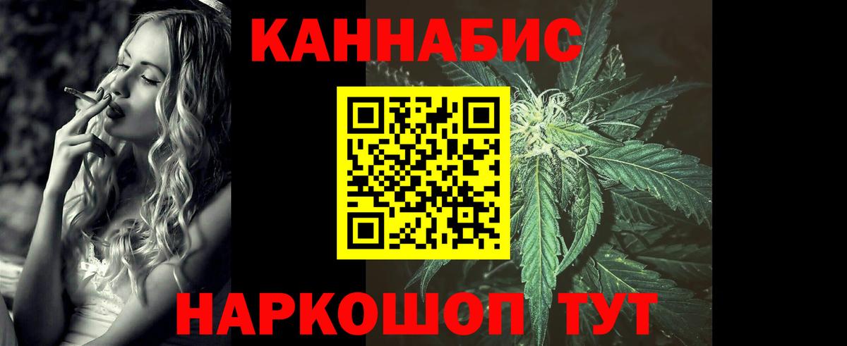 Конопля планчик Сокол